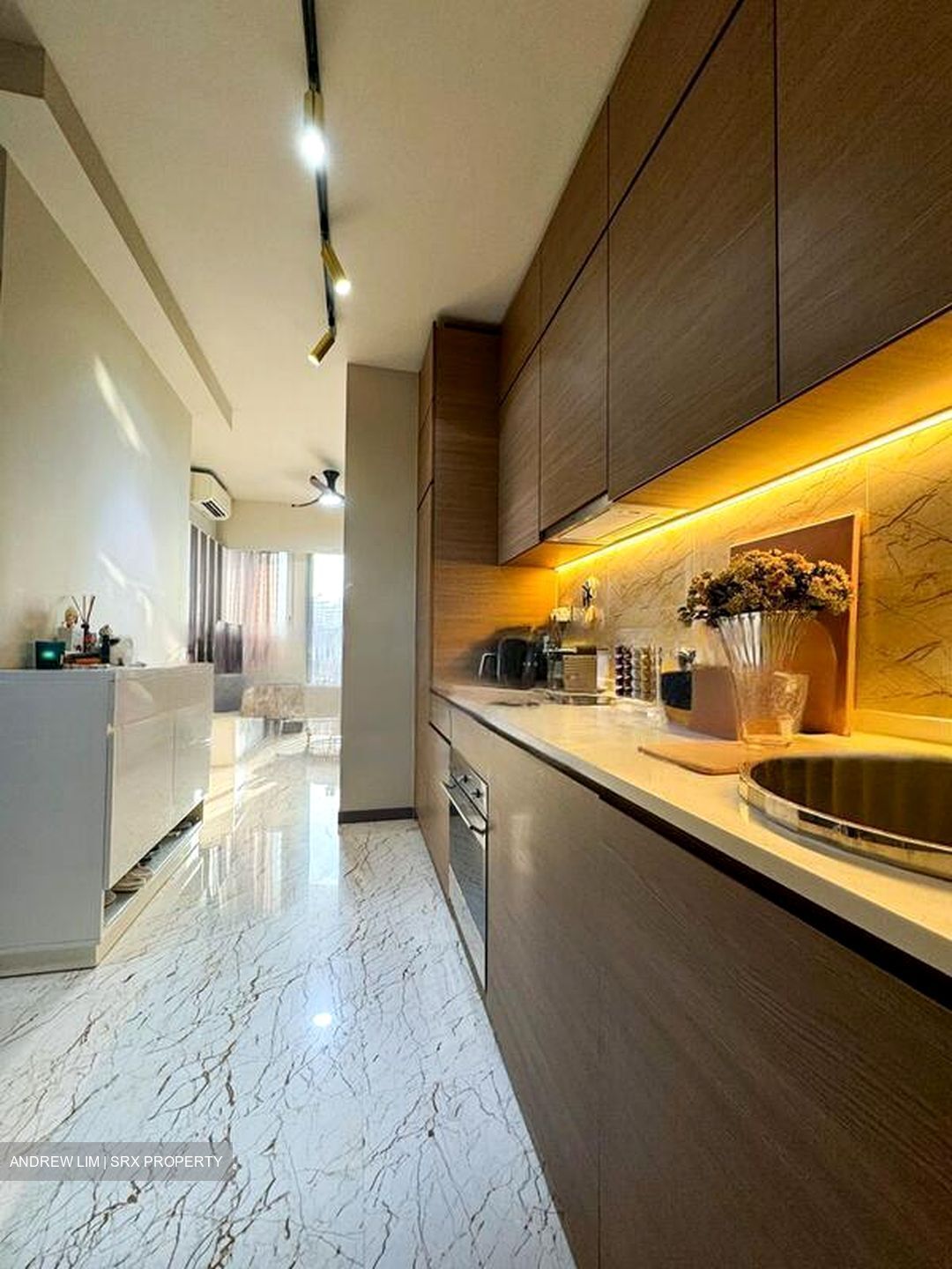 Queens Peak (D3), Condominium #459243281
